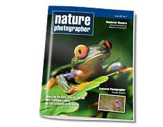 Booklets printed by Global Printing in Citrus Heights, CA